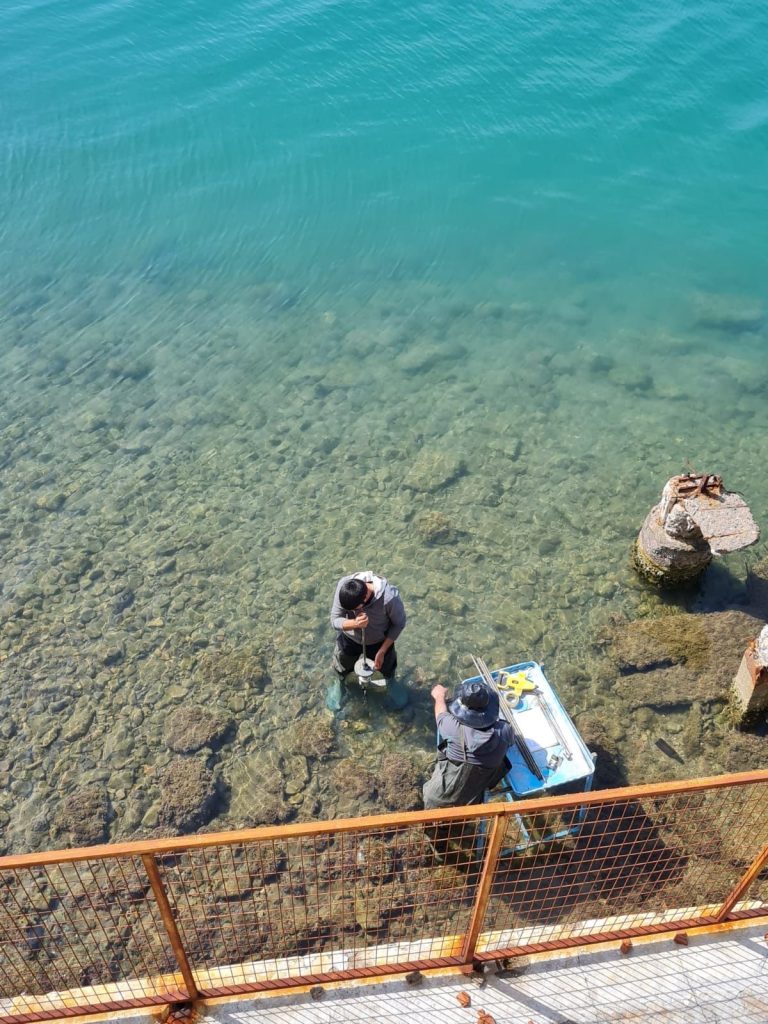 Automated DCP eKodiak® multi mass dynamic cone penetrometer site investigation Automated DCP eKodiak® multi mass dynamic cone penetrometer site investigation